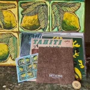 Coffret Maison Devienne présentant les carrés de soie inspirés de Tahiti, un emballage raffiné qui reflète le savoir-faire artisanal et la qualité française.