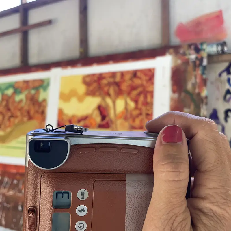 Digitalisation fidèle et respect des couleurs — Maison Devienne